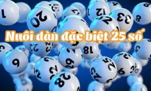 Kinh nghiệm nuôi dàn đề 25 số khung 5 ngày