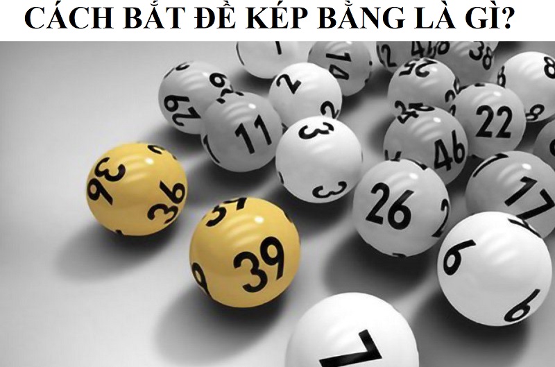 Đề kép bằng là gì? Hướng dẫn cách bắt đề kép bằng hiệu quả